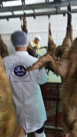 EHT - European Halal Trust - Production Line