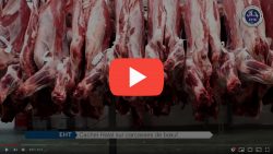 EHT - European Halal Trust - Videos